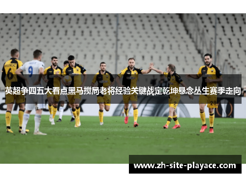 英超争四五大看点黑马搅局老将经验关键战定乾坤悬念丛生赛季走向