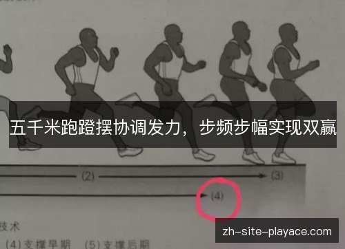 五千米跑蹬摆协调发力,步频步幅实现双赢 五千米跑蹬摆协调发力,步频步幅实现双赢
